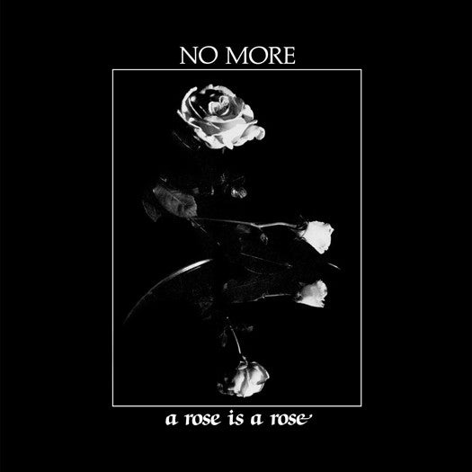 NO MORE A ROSE IS A ROSE LP VINYL NEW (US) 33RPM