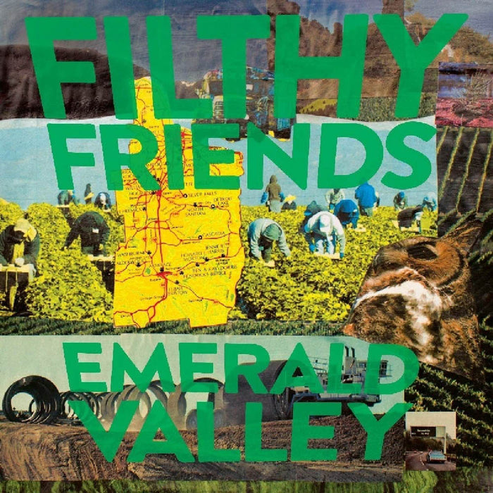 Filthy Friends Emerald Valley Vinyl LP 2019