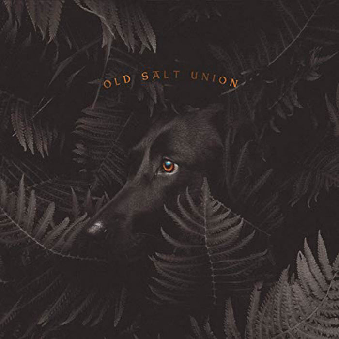 Old Salt Union Where The Dogs Dont Bite Vinyl LP New 2019