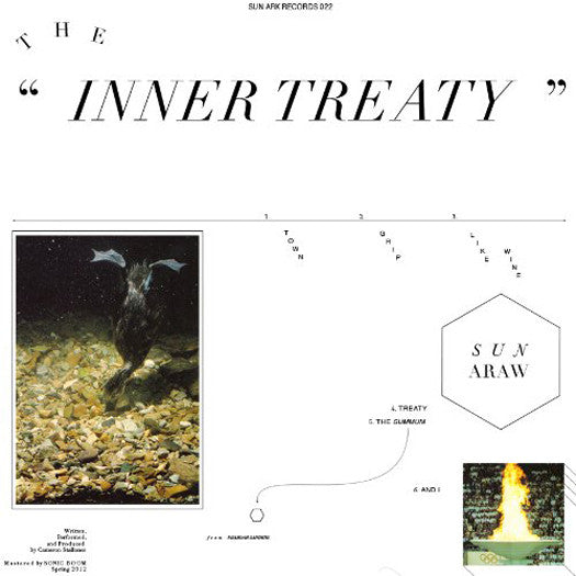 Sun Araw The Inner Treaty Vinyl LP 2012