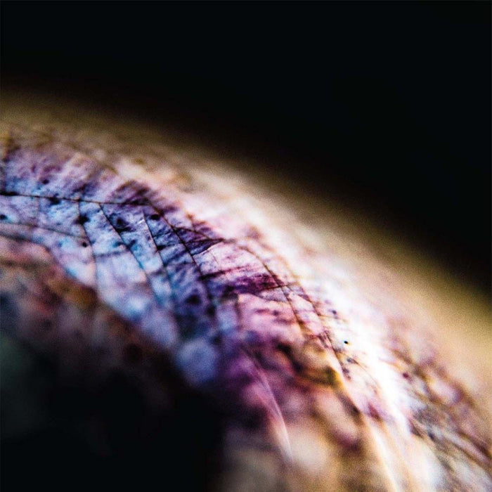 EMPTYSET Skin Vinyl LP 2017