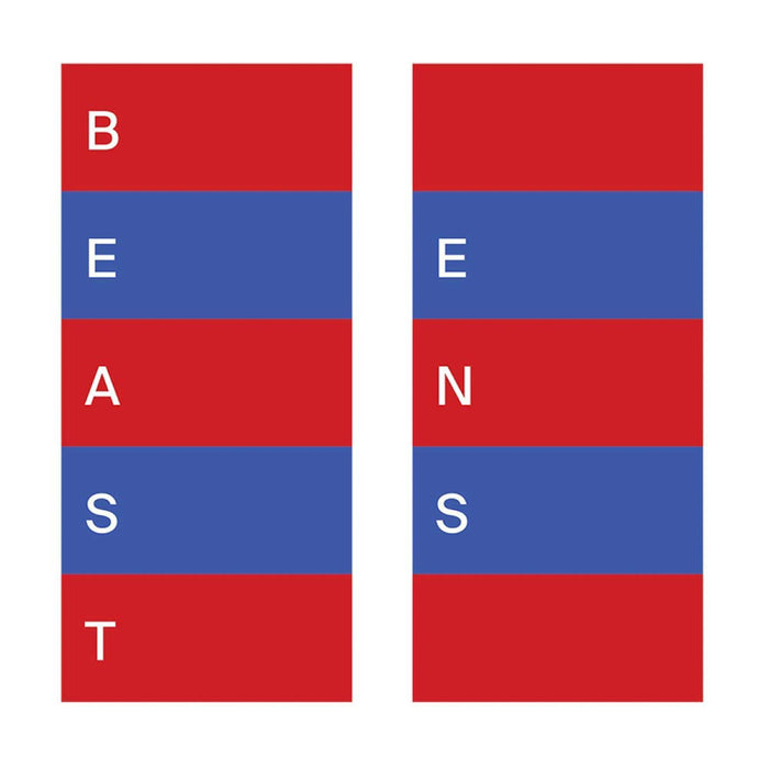 Beast Ens Vinyl LP 2018