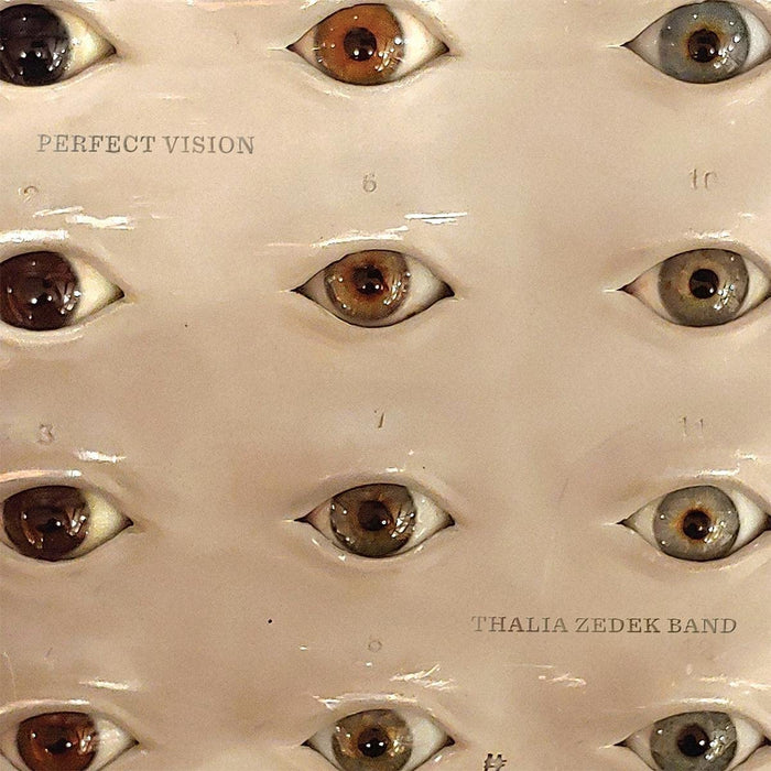 Thalia Zedek Band Perfect Vision Vinyl LP 2021