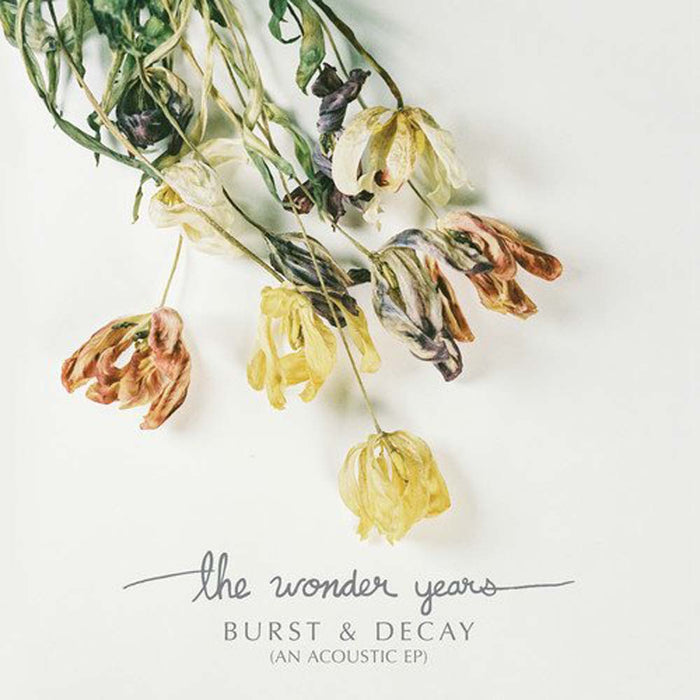 THE WONDER YEARS Burst & Decay LP Vinyl NEW 2017