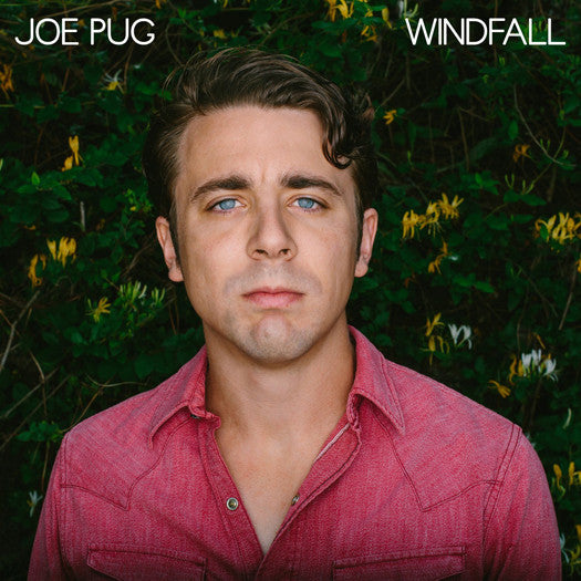 JOE PUG WINDFALL LP VINYL NEW (US) 33RPM