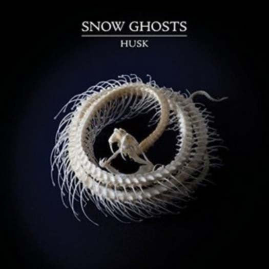 SNOW GHOSTS Husk Vinyl LP 2016