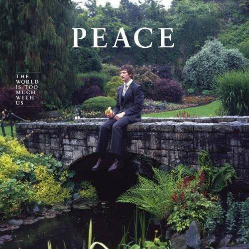 PEACE THE WORLD IS TOO MUCH WITH US LP VINYL POST PUNK NEW