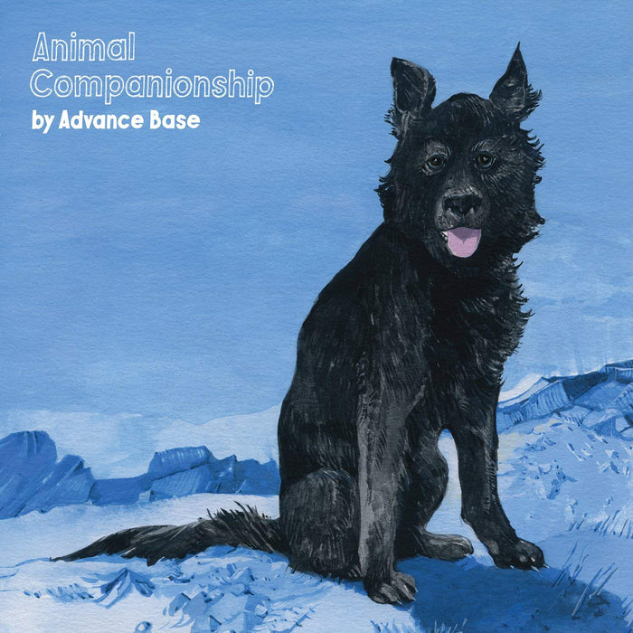 Advance Base Animal Companionship Vinyl LP New 2018