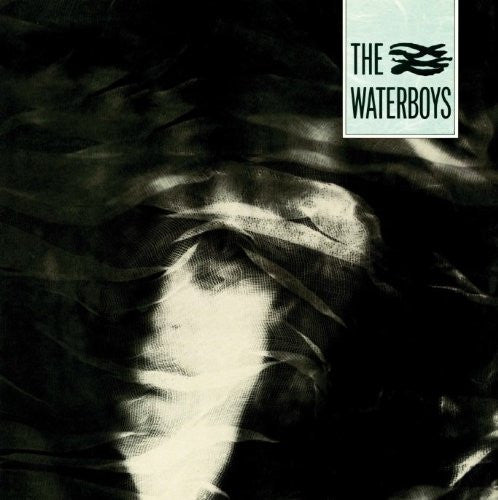 The Waterboys The Waterboys (Self-Titled) Vinyl LP Reissue 2002