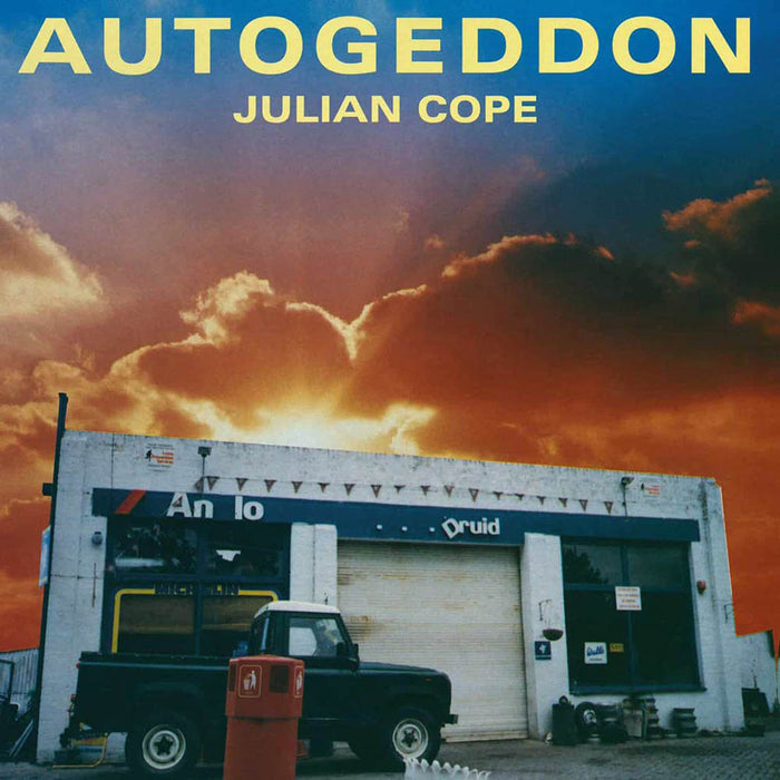 Julian Cope Autogeddon Vinyl LP Box Set New