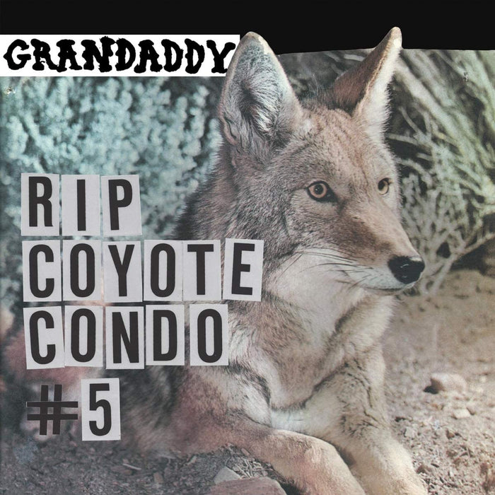 Grandaddy - RIP Coyote Condo #5 12" Vinyl Single 2020