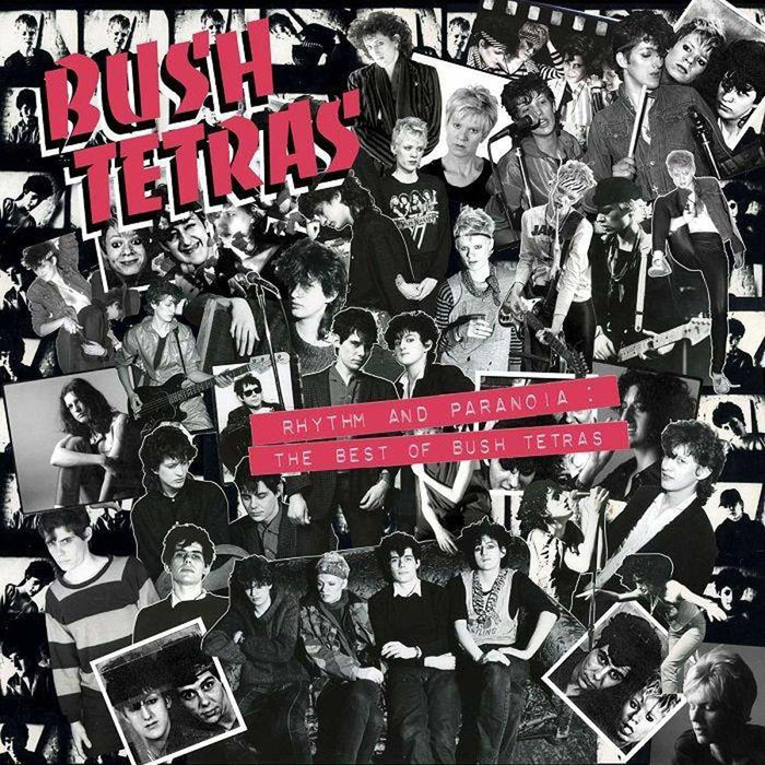 Bush Tetras Rhythm And Paranoia: The Best Of Bush Tetras Vinyl LP Box Set 2021
