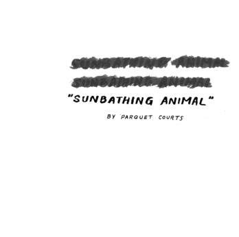 PARQUET COURTS SUNBATHING ANIMAL 7INCH VINYL SINGLE NEW 45RPM