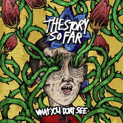 THE STORY SO FAR WHAT YOU DON'T SEE LP VINYL NEW 33RPM