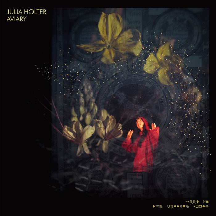 Julia Holter Aviary Double Coloured Vinyl LP New 2018