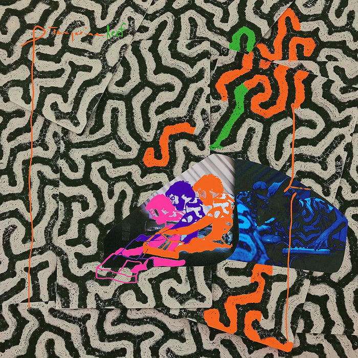 Animal Collective Tangerine Reef Vinyl LP 2018