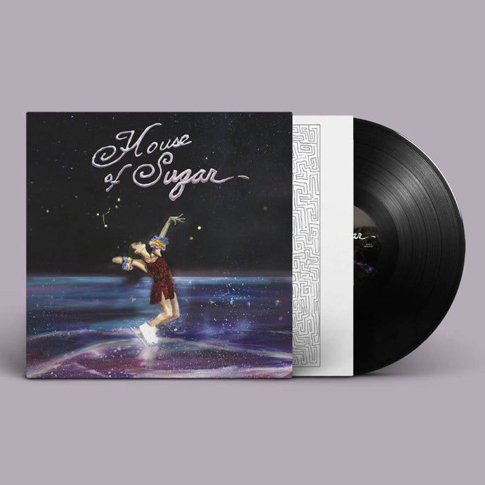 (Sandy) Alex G House of Sugar Vinyl LP 2019