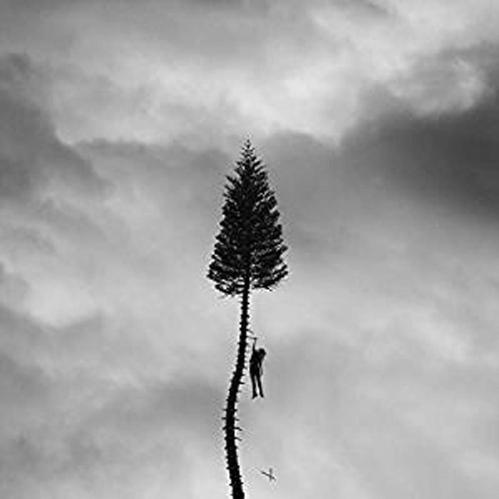 Manchester Orchestra A Black Mile To The Surface Vinyl LP