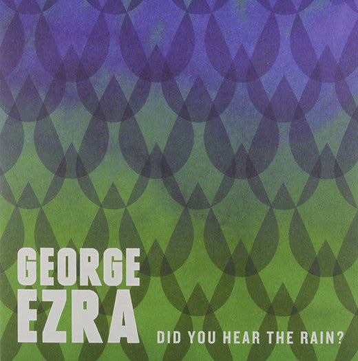 GEORGE ERZA DID YOU HEAR THE RAIN? 7 INCH VINYL SINGLE 2013 NEW