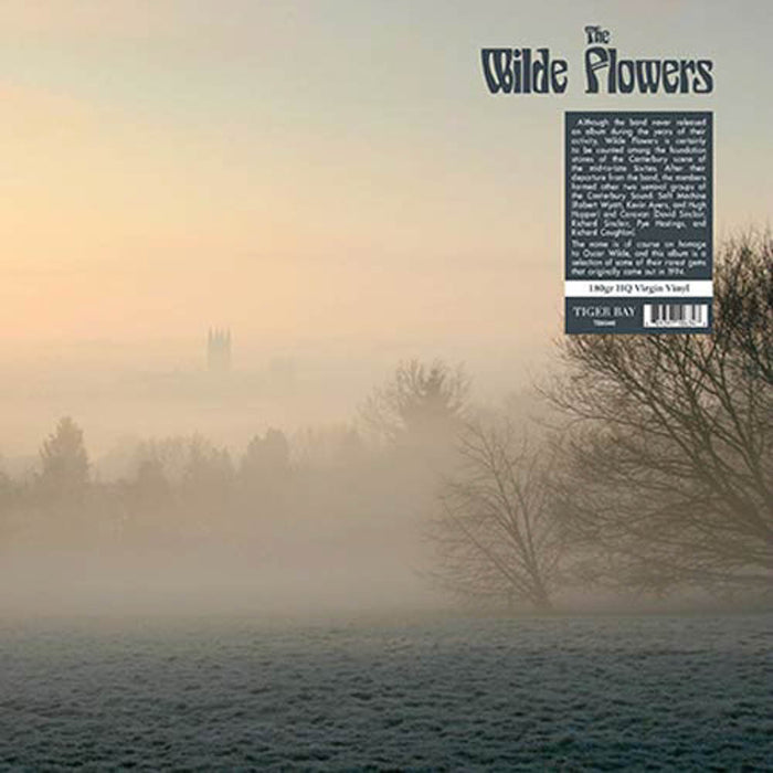 The Wilde Flowers The Wilde Flowers Vinyl LP New 2018