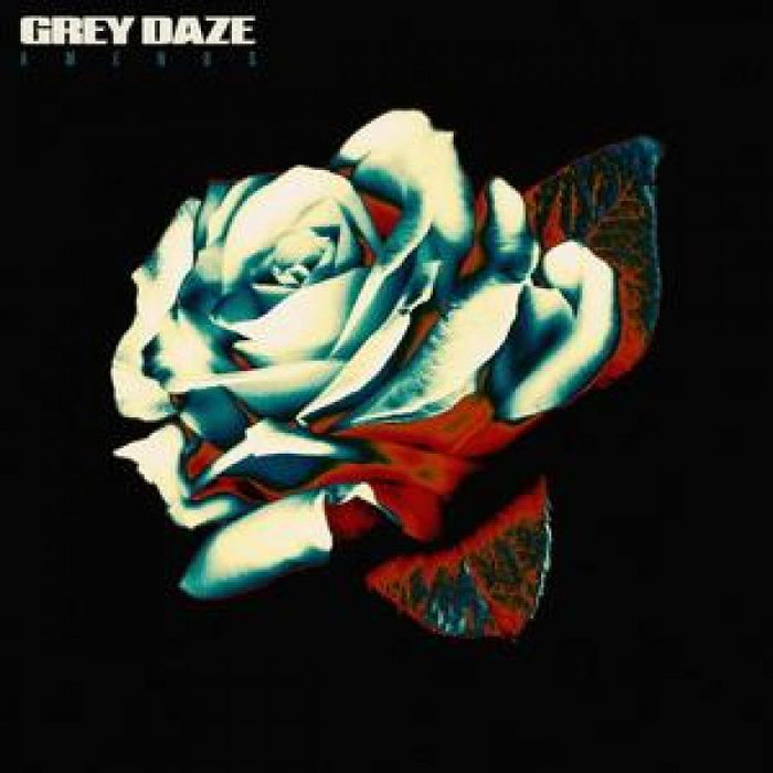 Grey Daze Amends Vinyl LP Ruby Colour 2020