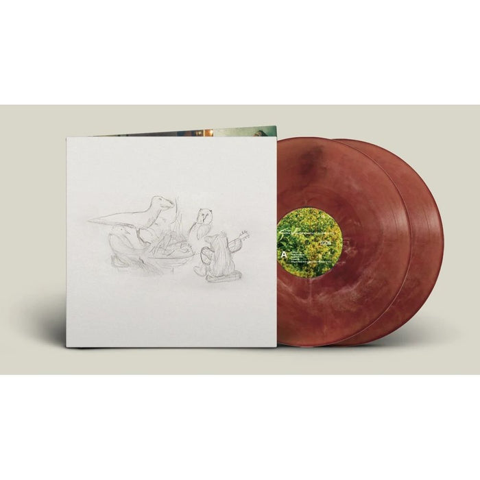 Big Thief Dragon Warm Mountain I Believe In You Vinyl LP Eco-Friendly Colour 2022
