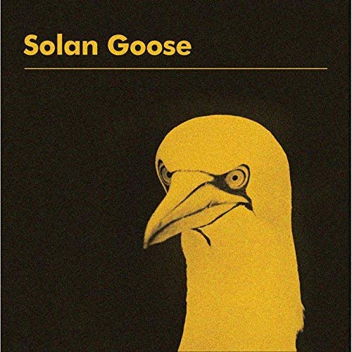 Erland Cooper - Solan Goose Vinyl LP 2018