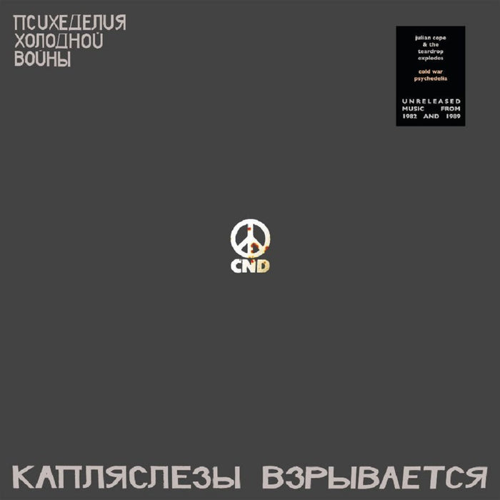 Julian Cope & The Teardrop Explodes Cold War Psychedelia Vinyl LP 2021
