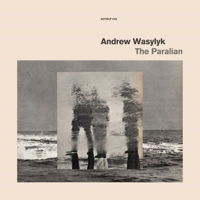 Andrew Wasylyk The Paralian Vinyl LP 2019
