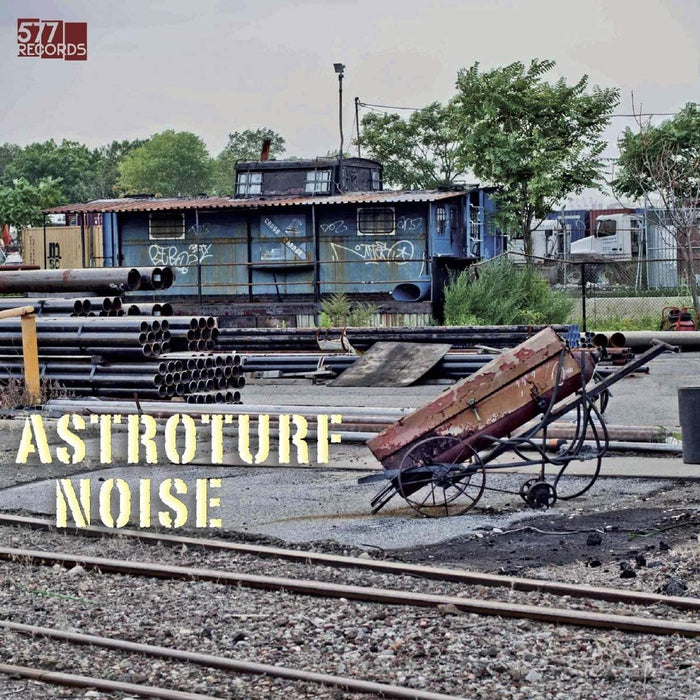 Astroturf Noise Astroturf Noise Vinyl LP 2020