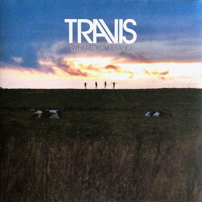Travis Where You Stand Vinyl LP 2013