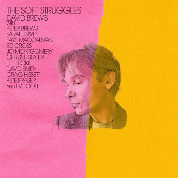 David Brewis The Soft Struggles Vinyl LP 2023