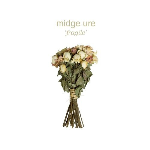 MIDGE URE FRAGILE LP VINYL 33RPM NEW