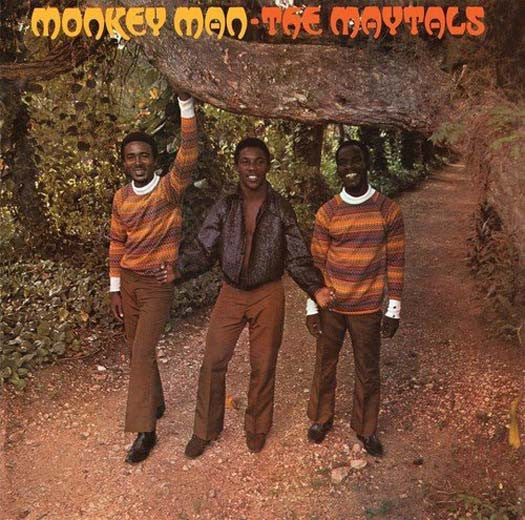 THE MAYTALS MONKEY MAN 12" LP Vinyl NEW 2016