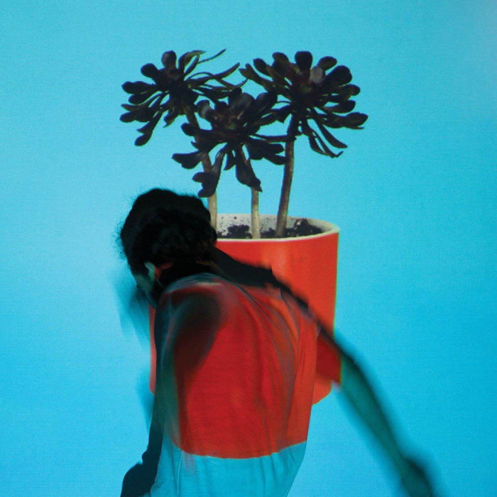 Local Natives Sunlit Youth Vinyl LP 2016