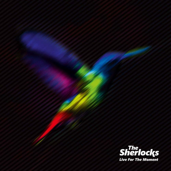 The Sherlocks Live for the Moment Vinyl LP 2017