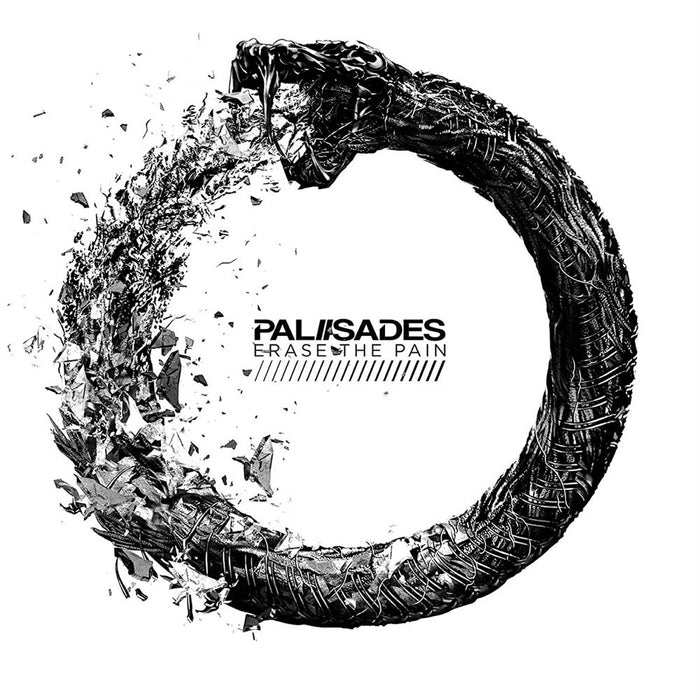 Palisades Erase the Pain Vinyl LP 2018