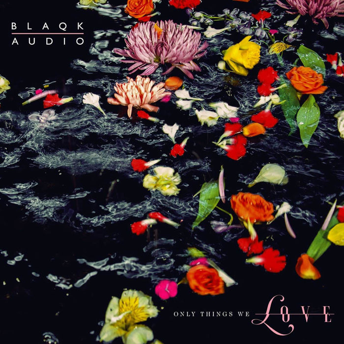 Blaqk Audio Only Things We Love Water Picture Disc Vinyl LP New 2019