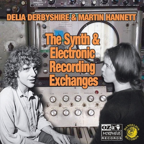 Delia Derbyshire & Martin Hannett The Synth And Electronic..Vinyl LP 2019