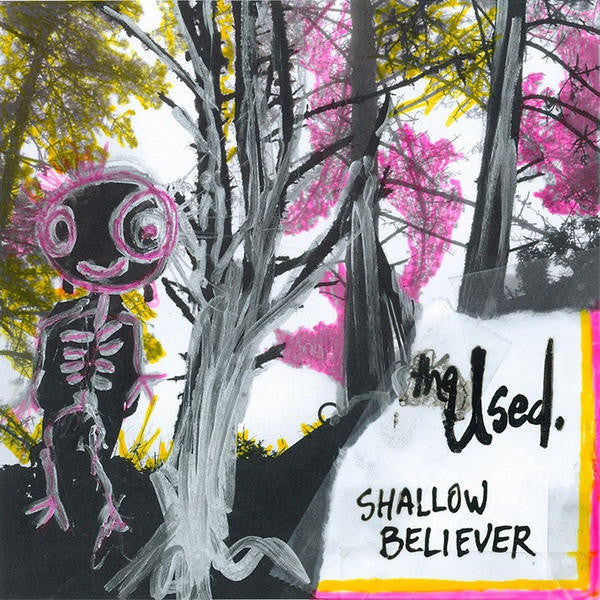 USED SHALLOW BELIEVER LP VINYL NEW 33RPM