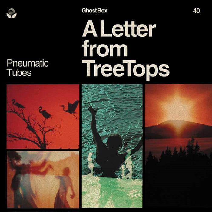 Pneumatic Tubes A Letter From Treetops Vinyl LP 2022