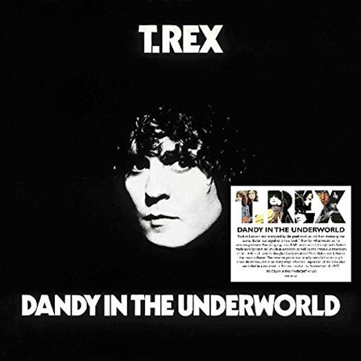 T.REX DANDY IN THE UNDERWORLD LP