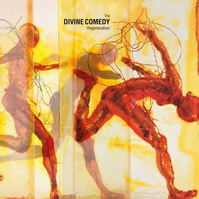 The Divine Comedy Regeneration Vinyl LP 2020