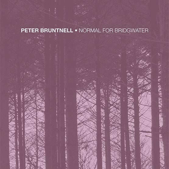 Peter Bruntnell - Normal For Bridgwater 12" Vinyl LP RSD Aug 2020