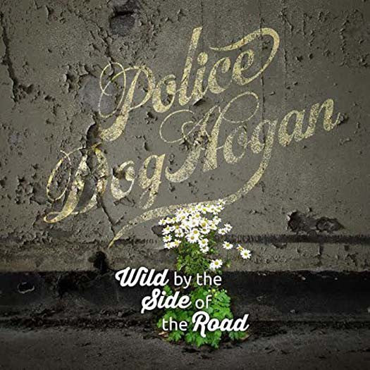 POLICE DOG HOGAN Wild By The Side Of Road Vinyl LP 2017