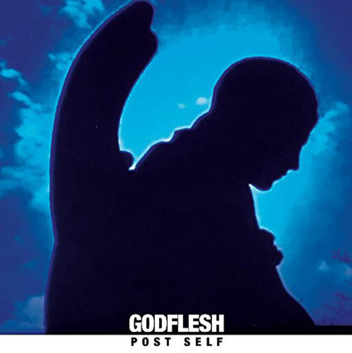 Godflesh Post Self Vinyl LP 2017