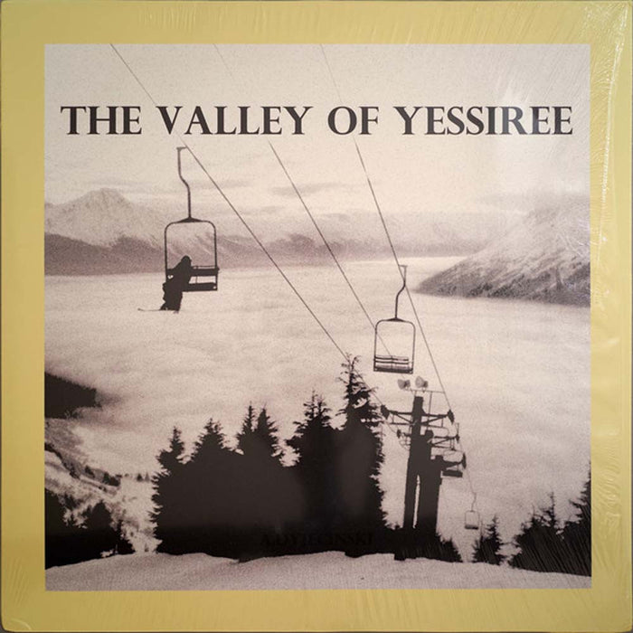 A DYJECINSKI The Valley Of Yessiree LP Vinyl NEW