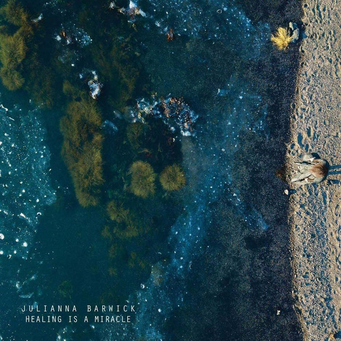 Julianna Barwick Healing Is A Miracle Vinyl LP With Print LRS 2020