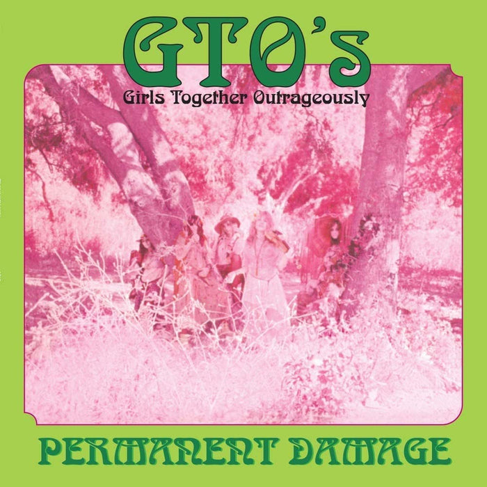 The GTOs - Permanent Damage Vinyl LP 2020