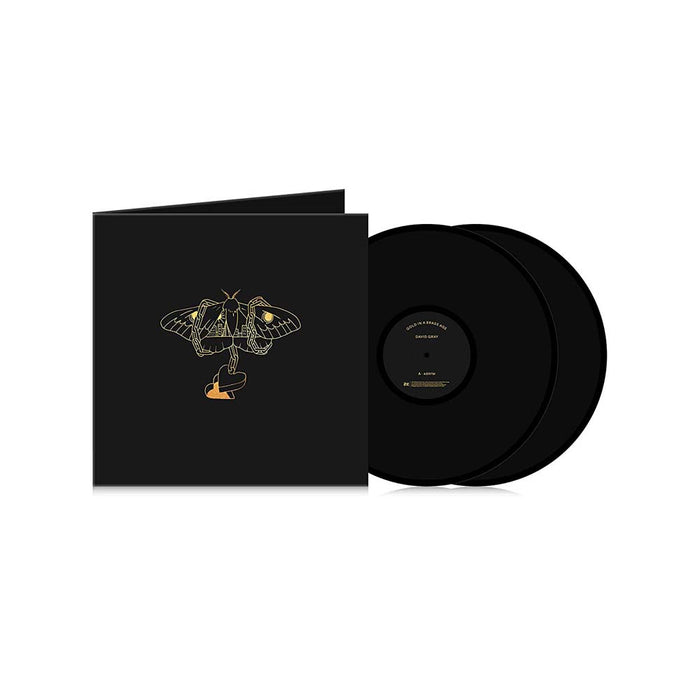 David Gray Gold In A Brass Age Vinyl LP New 2019